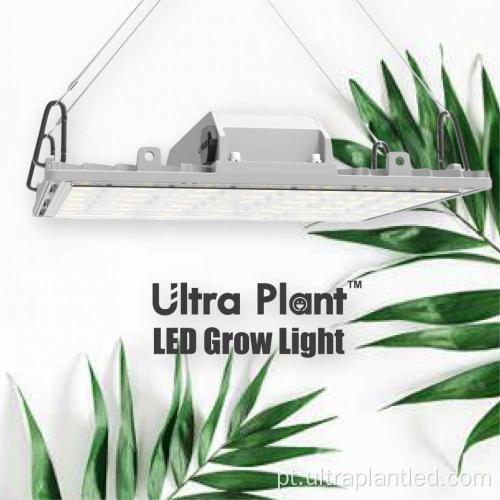 Luzes ultravioleta de cultivo interno para agricultura vertical